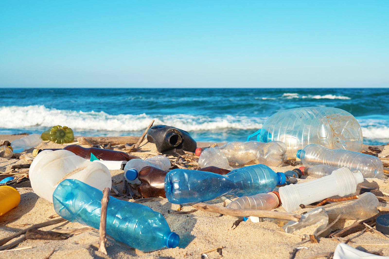 How to Reduce Plastic Waste in Your Daily Life: 12 Simple and Effective Tips